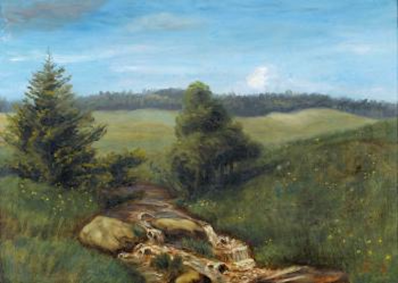 Bachmotiv mit Wiese und Felsen. by Hans Thoma