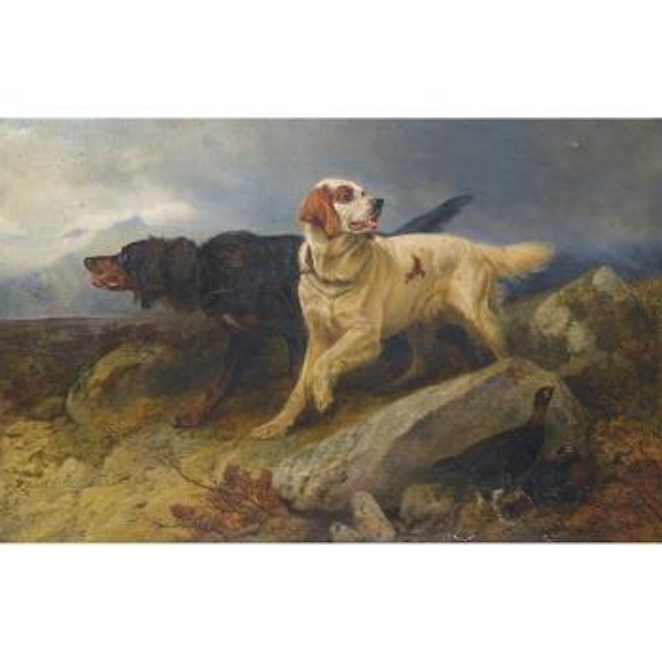Setters On The Scent by Richard Ansdell