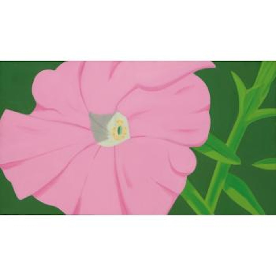 Pink Petunia #2 by Alex Katz