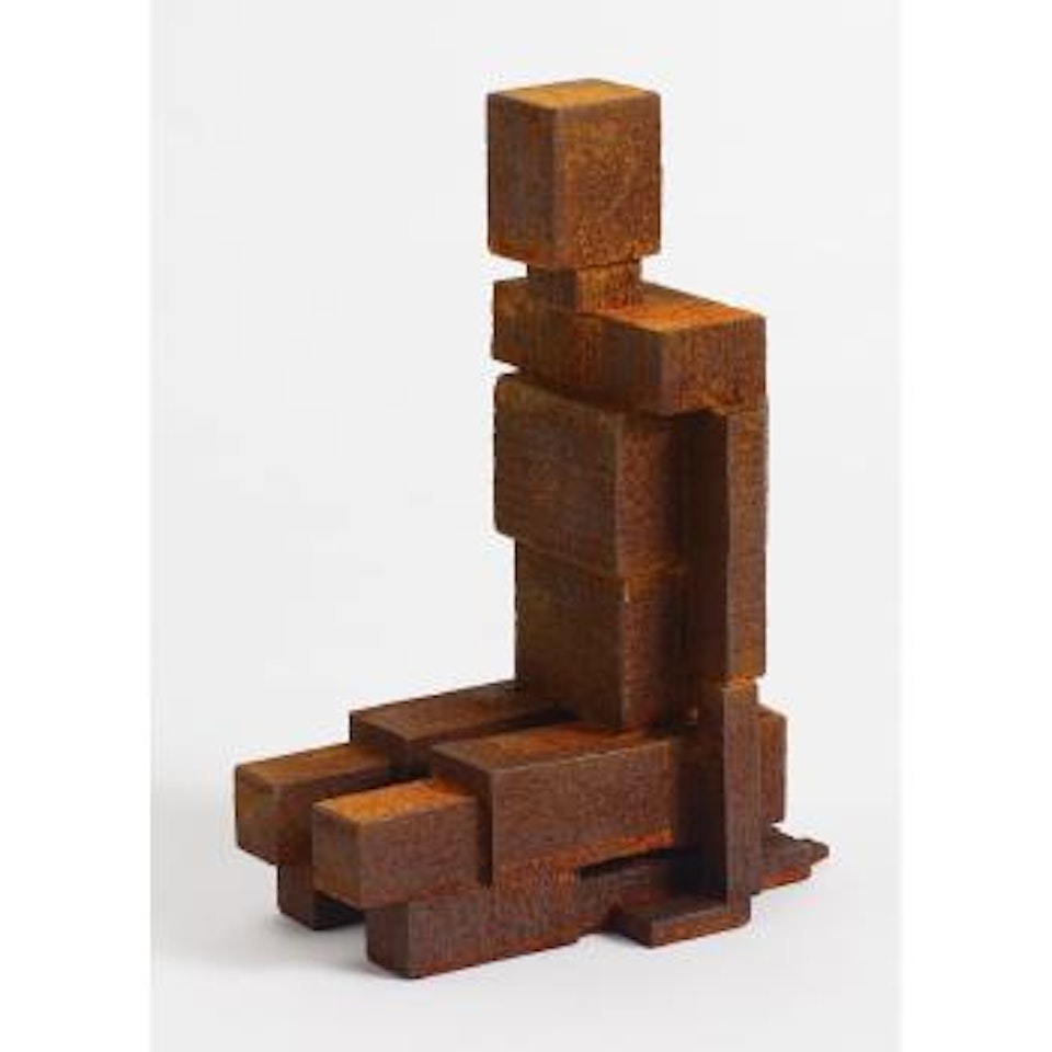 Meme LXXIX by Antony Gormley