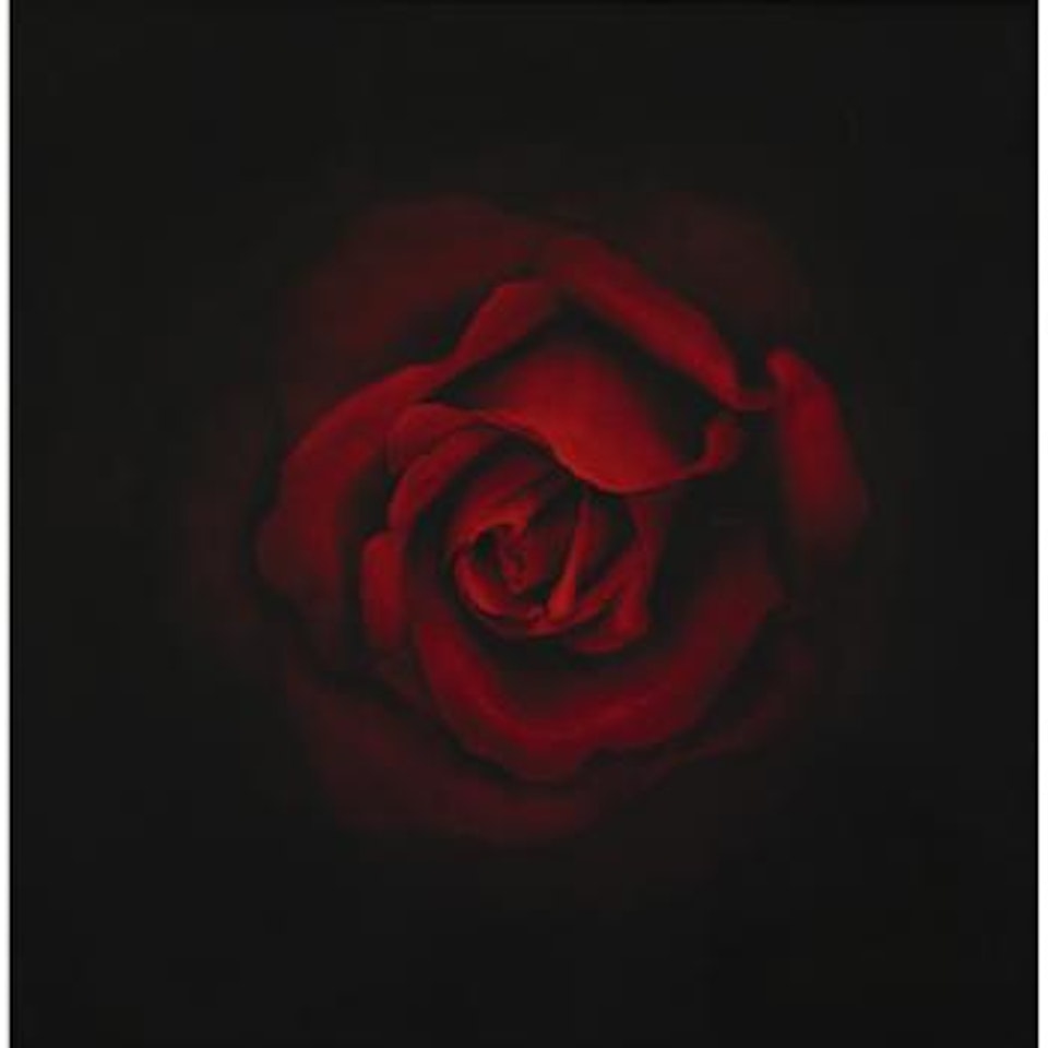 Untitled (Ophelia #1) by Robert Longo