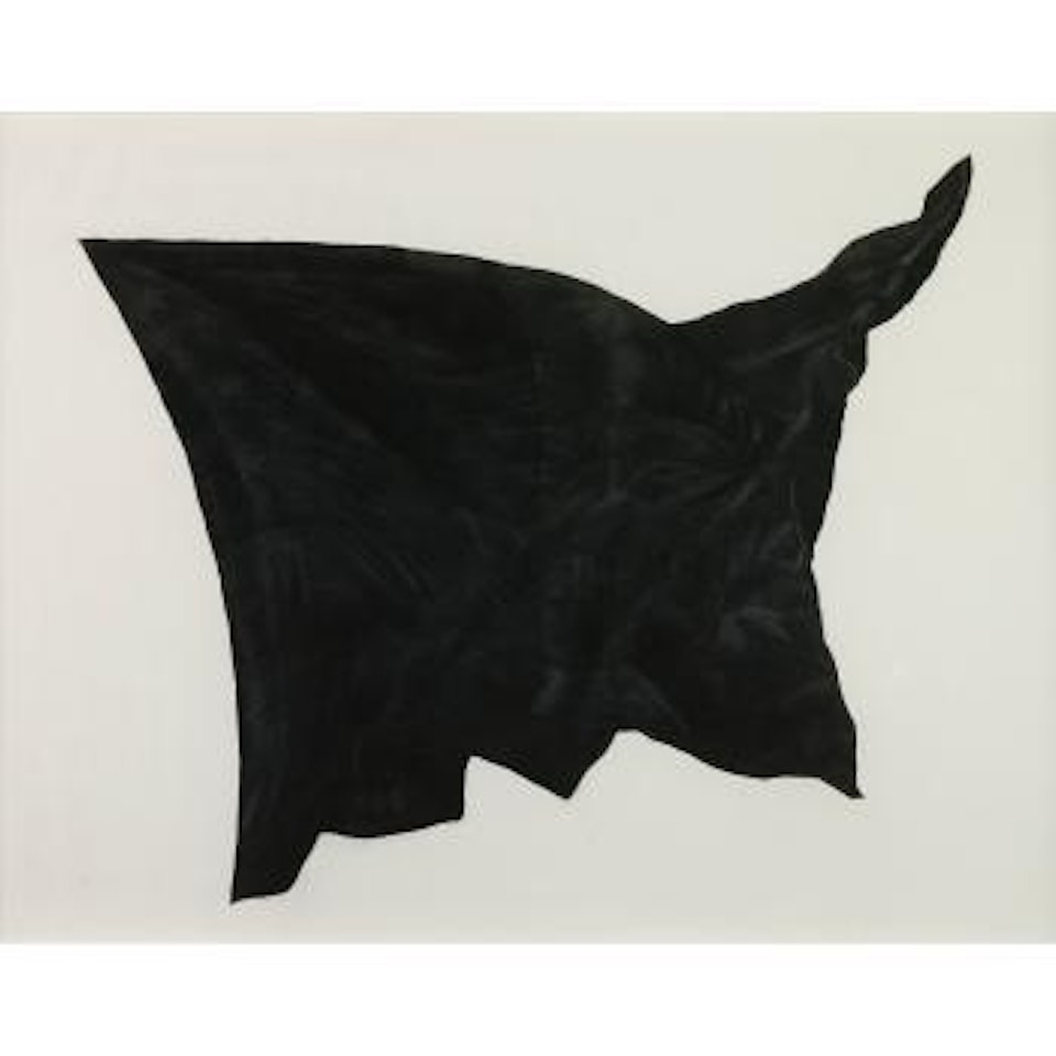 Black Flag #2a by Robert Longo