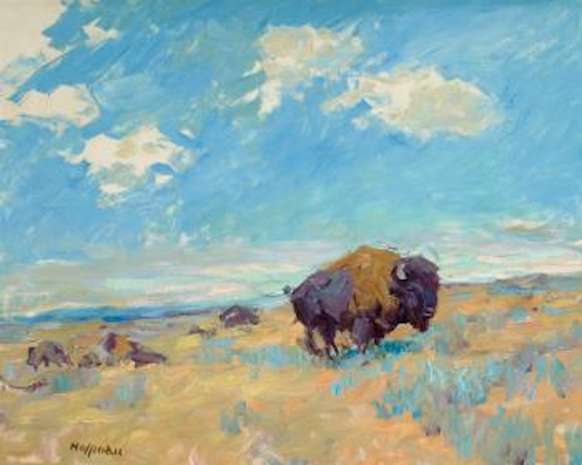 Buffalo by Frank B. Hoffman