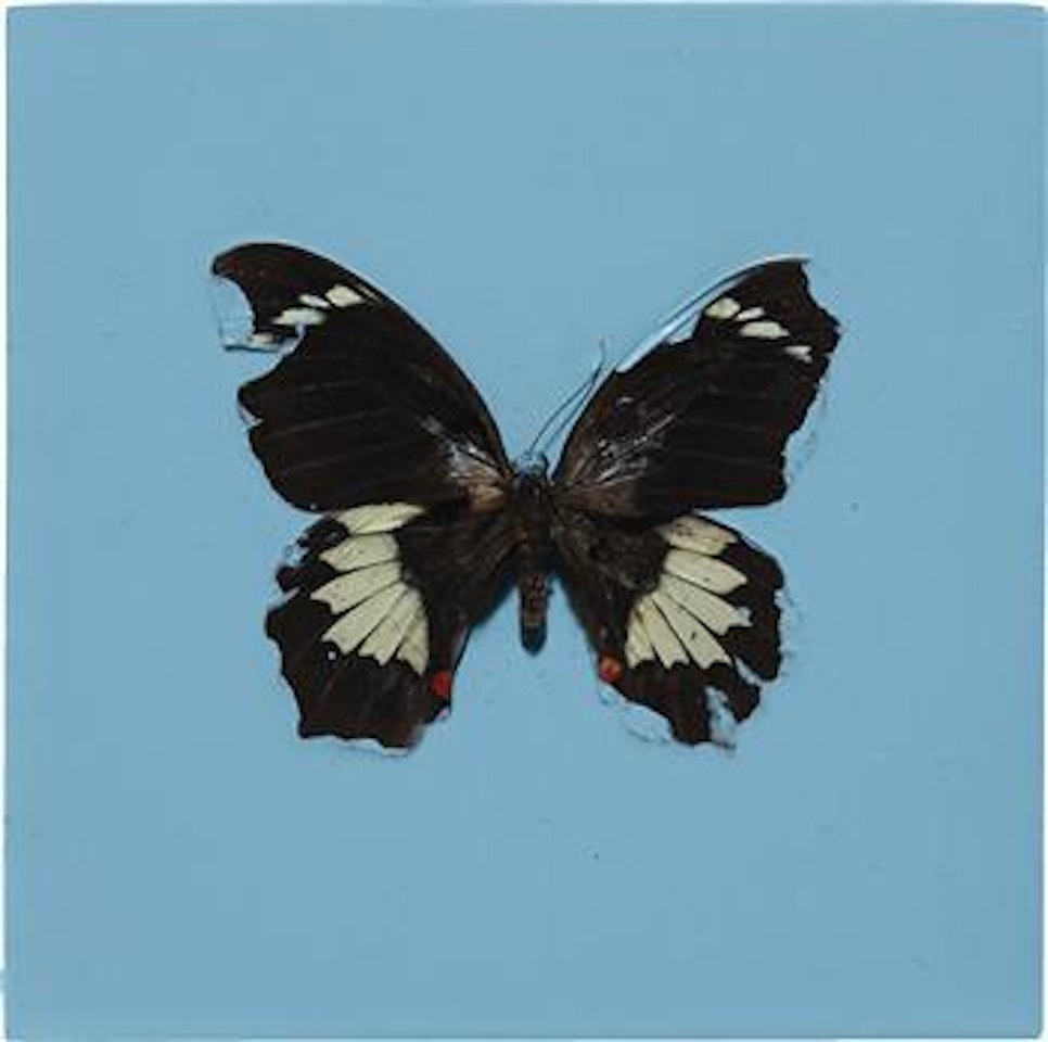 Love is a Stranger by Damien Hirst