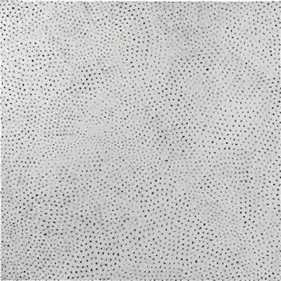 Nets Infinity by Yayoi Kusama