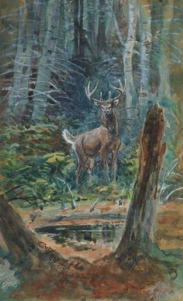 Deer In The Dell by Charles M Russell