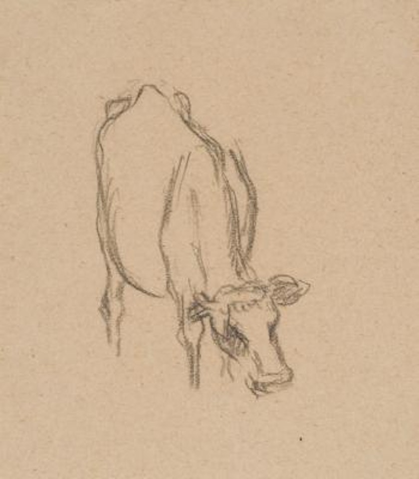 Cow by Camille Pissarro