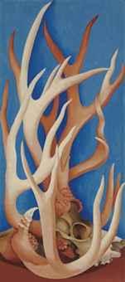 Deer Horns by Georgia O'Keeffe