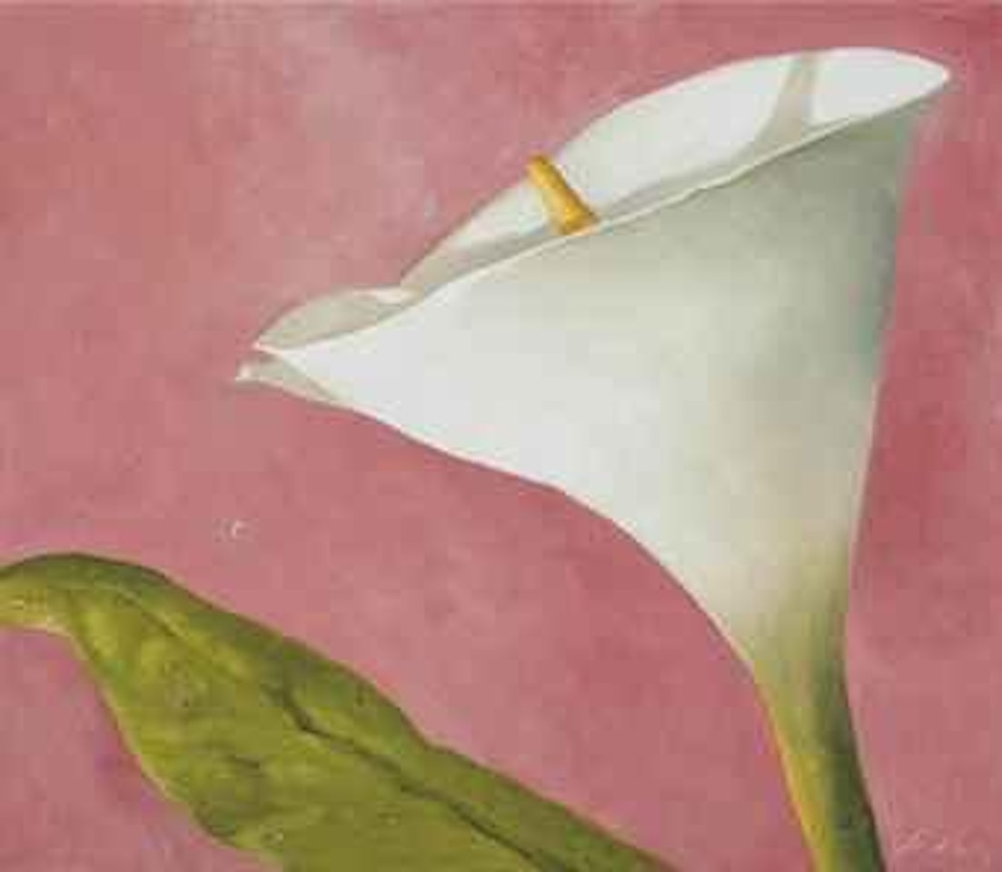 Gota by Julio Larraz