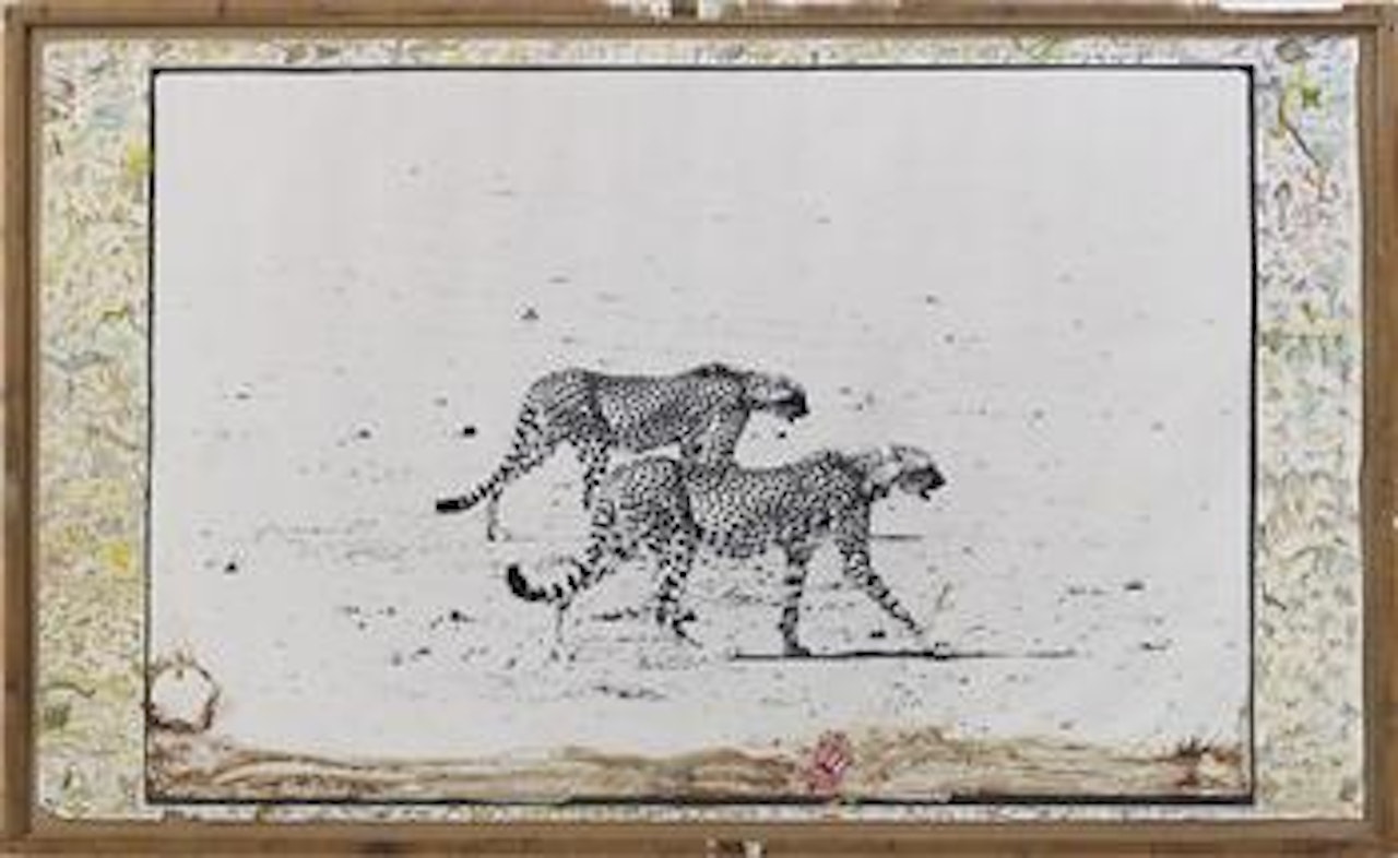 Hunting Cheetahs on the Taru Desert, Kenya, June, 1960 by Peter Beard