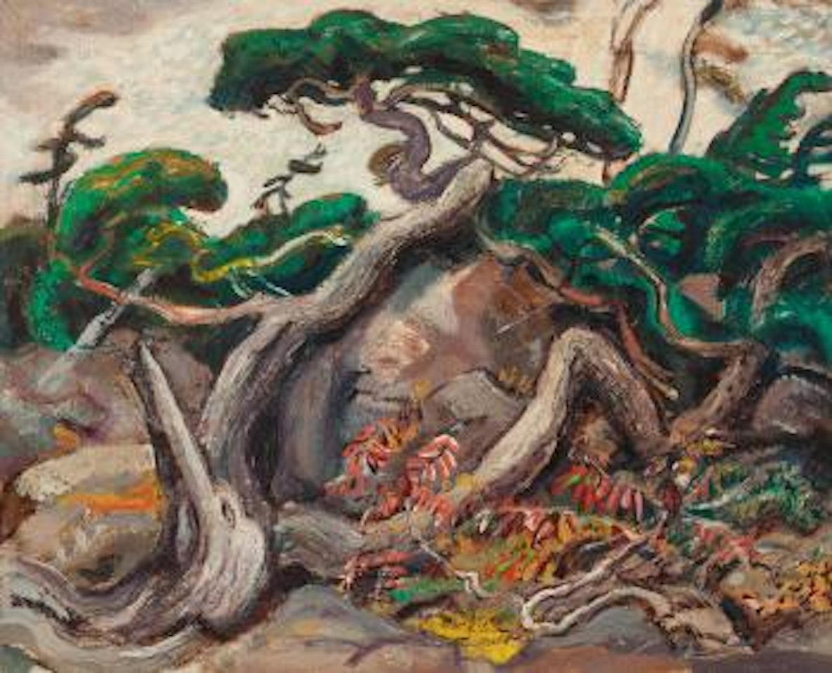 Twisted Pine, Georgian Bay by Arthur Lismer