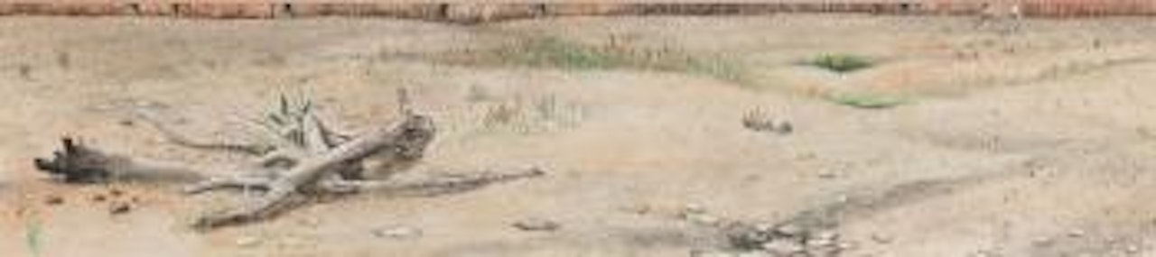 Drought In Ontario by William Kurelek