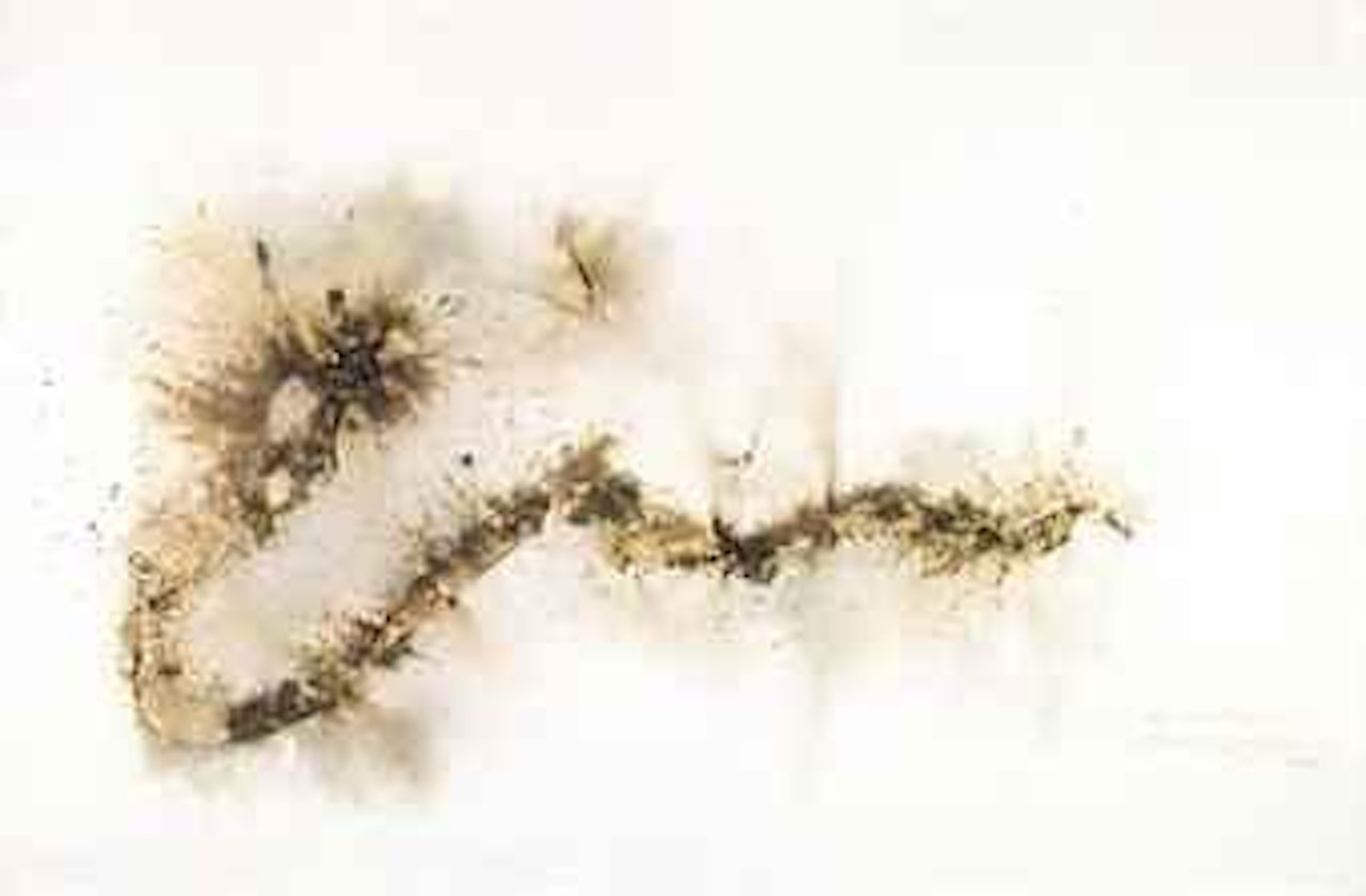 Project for the Year of Dragon No. 2 by Cai Guo-Qiang