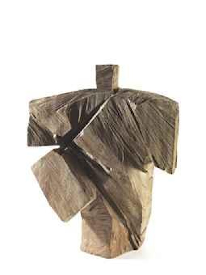 Taichi Series: Golden Rooster by Ju Ming