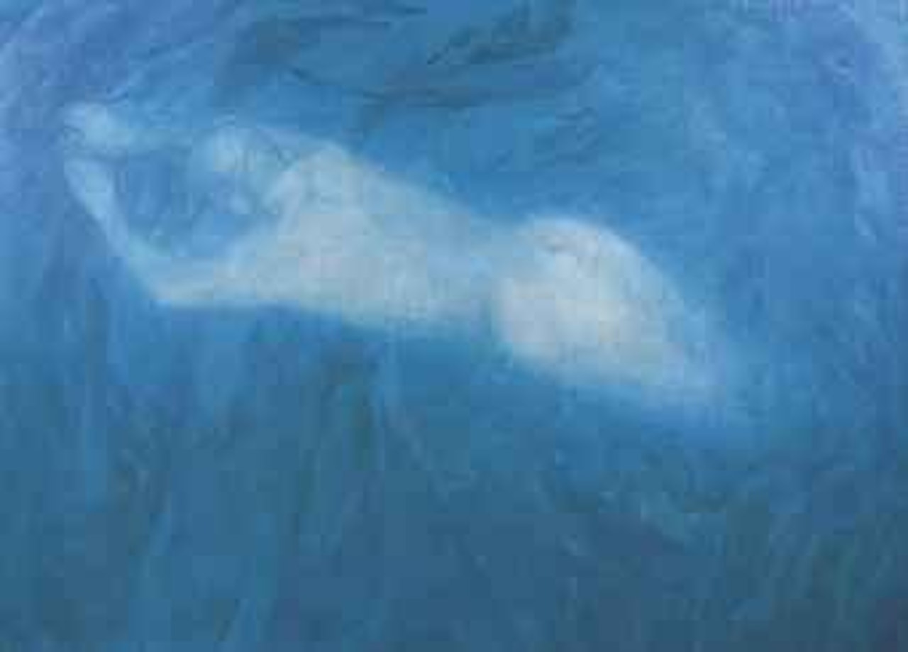 1994 No. 8 by Fang Lijun