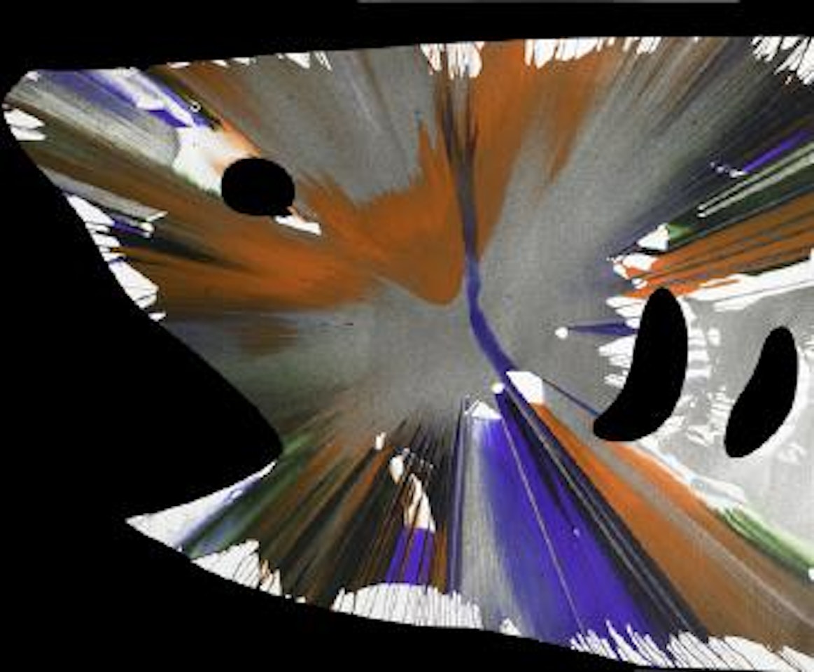 Spin painting (shark) by Damien Hirst