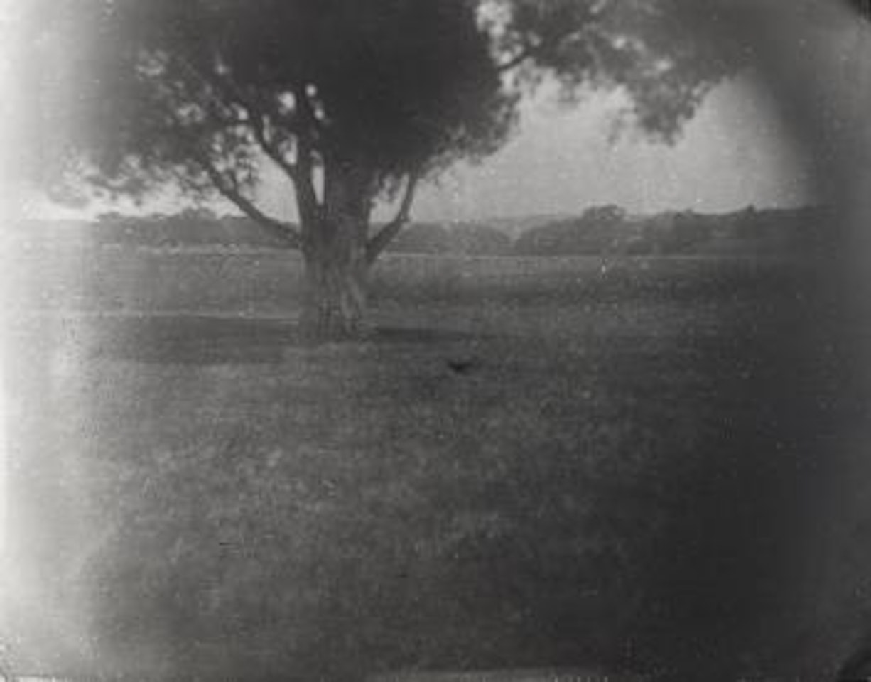 Untitled by Sally Mann