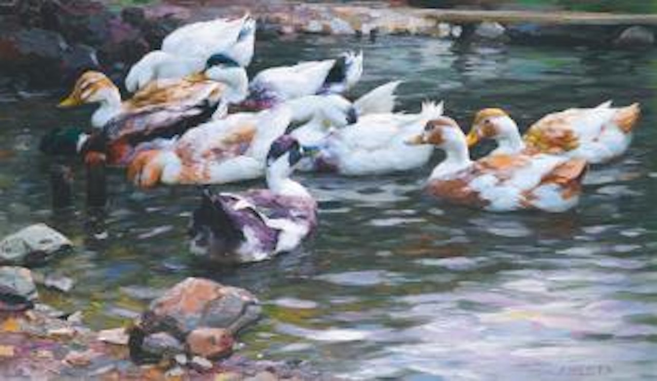 Ententeich (Ducks On a Pond) by Alexander Koester