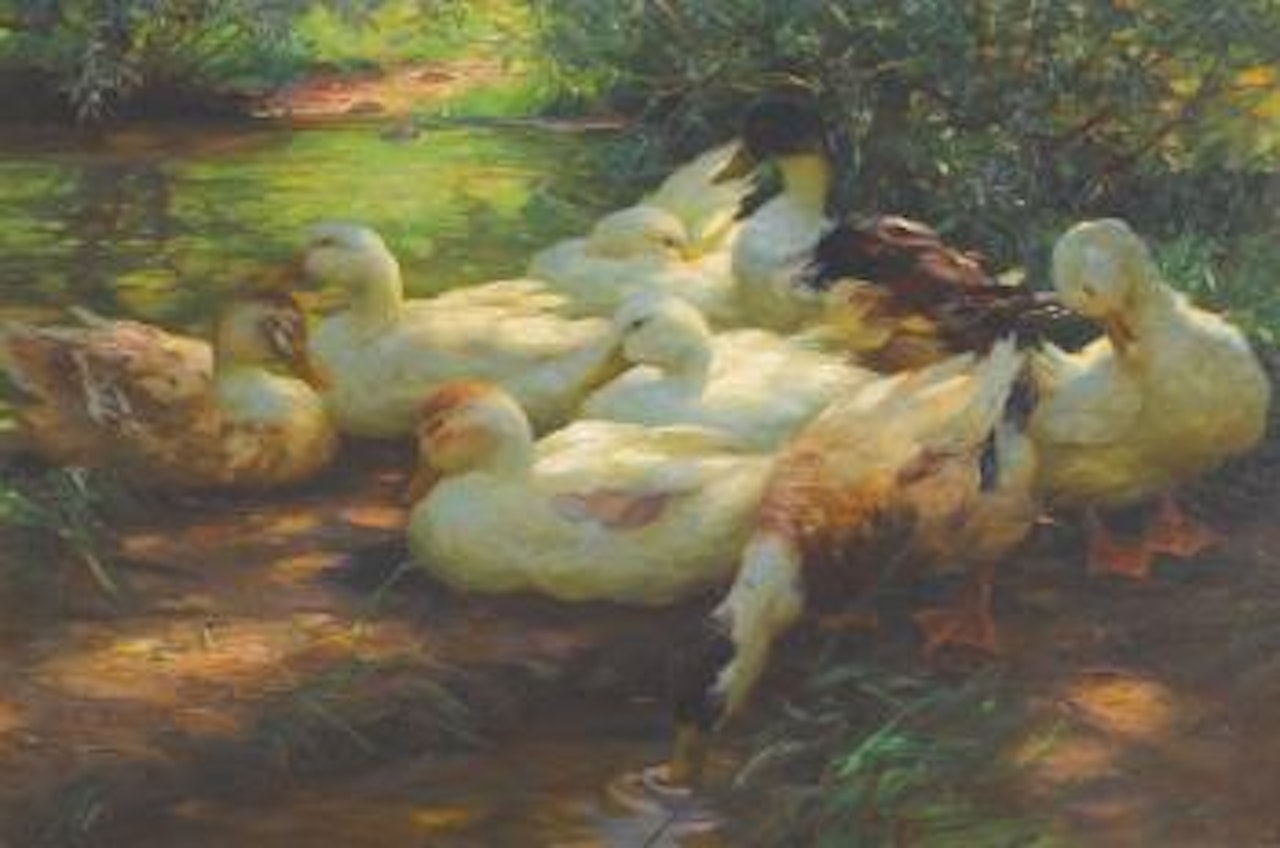 Enten Am Flussufer (Ducks On The Riverbank) by Alexander Koester