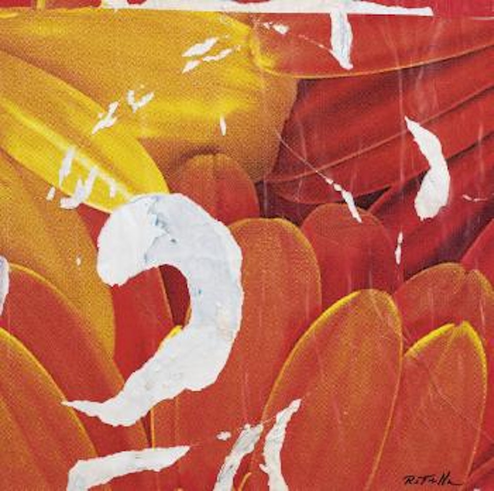 Fiori n° 2 by Mimmo Rotella