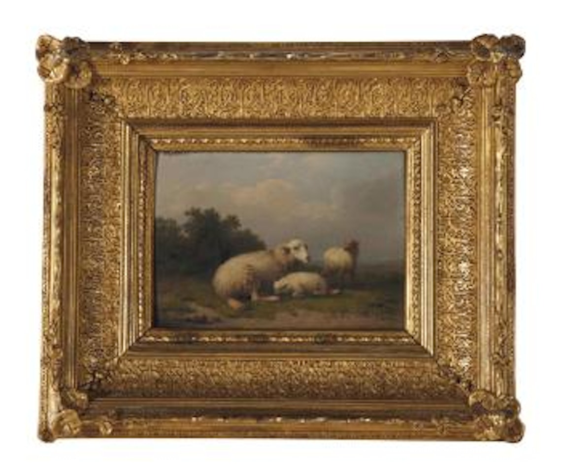 A sheep and lambs resting in a pasture by Eugène Joseph Verboeckhoven