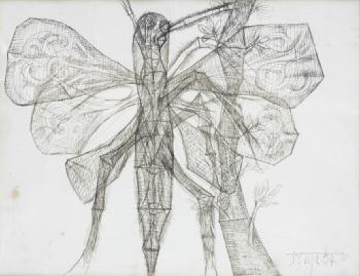 Untitled (Mosquito) by Francis Newton Souza