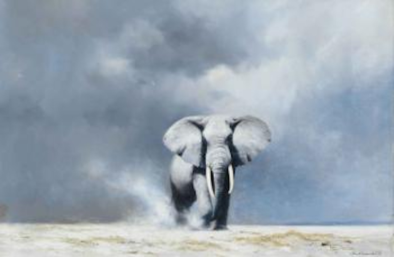 The lone bull by David Shepherd