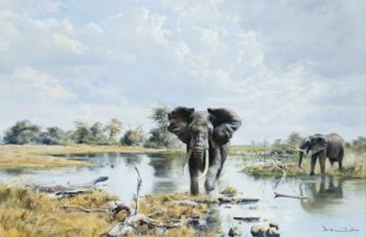 At the watering hole by Donald Grant