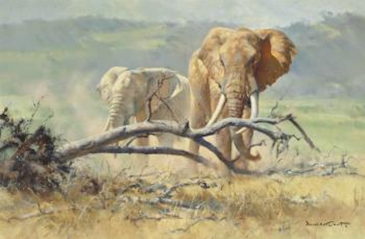 Elephants browsing by Donald Grant