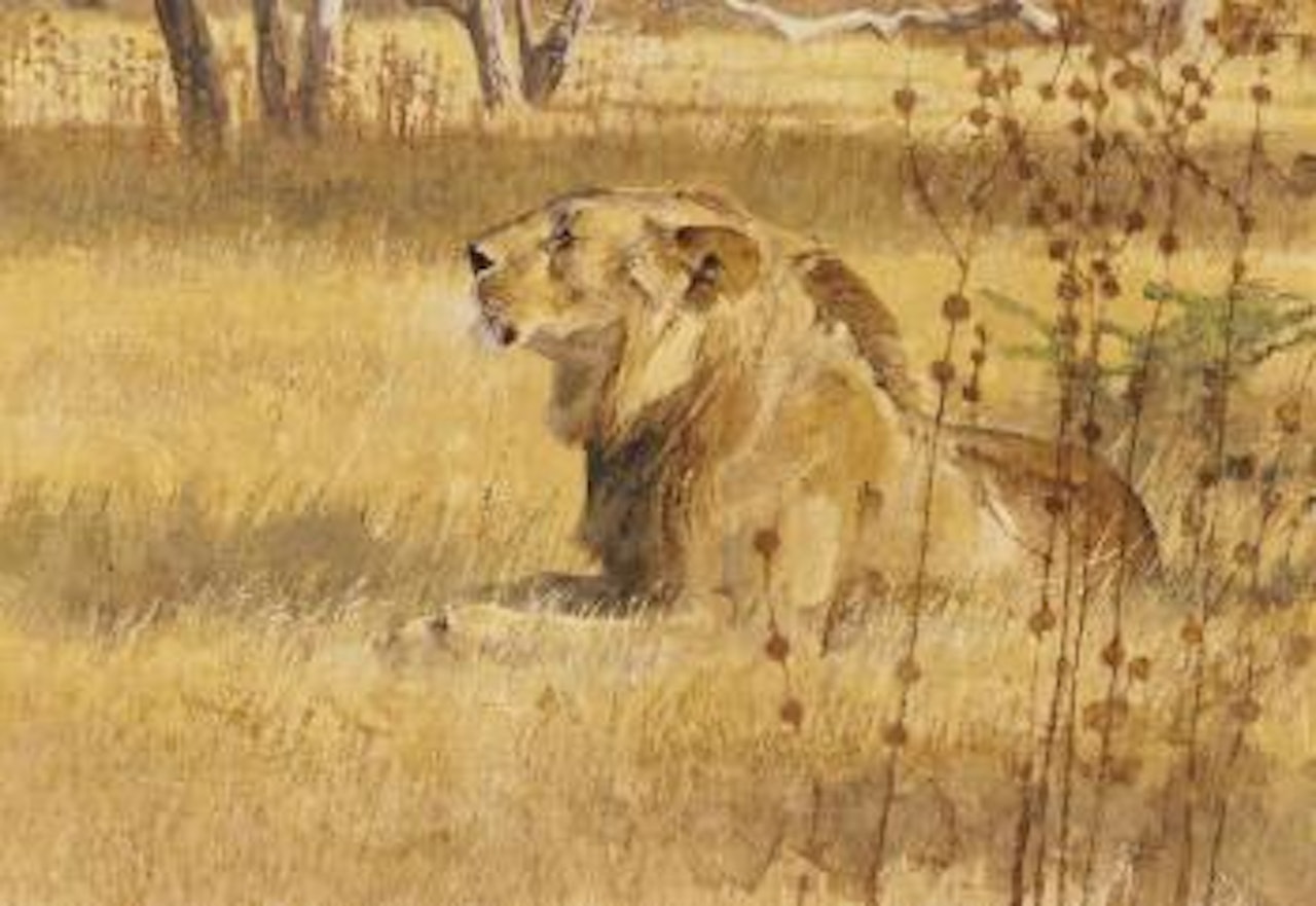 Morning Song by Bob Kuhn