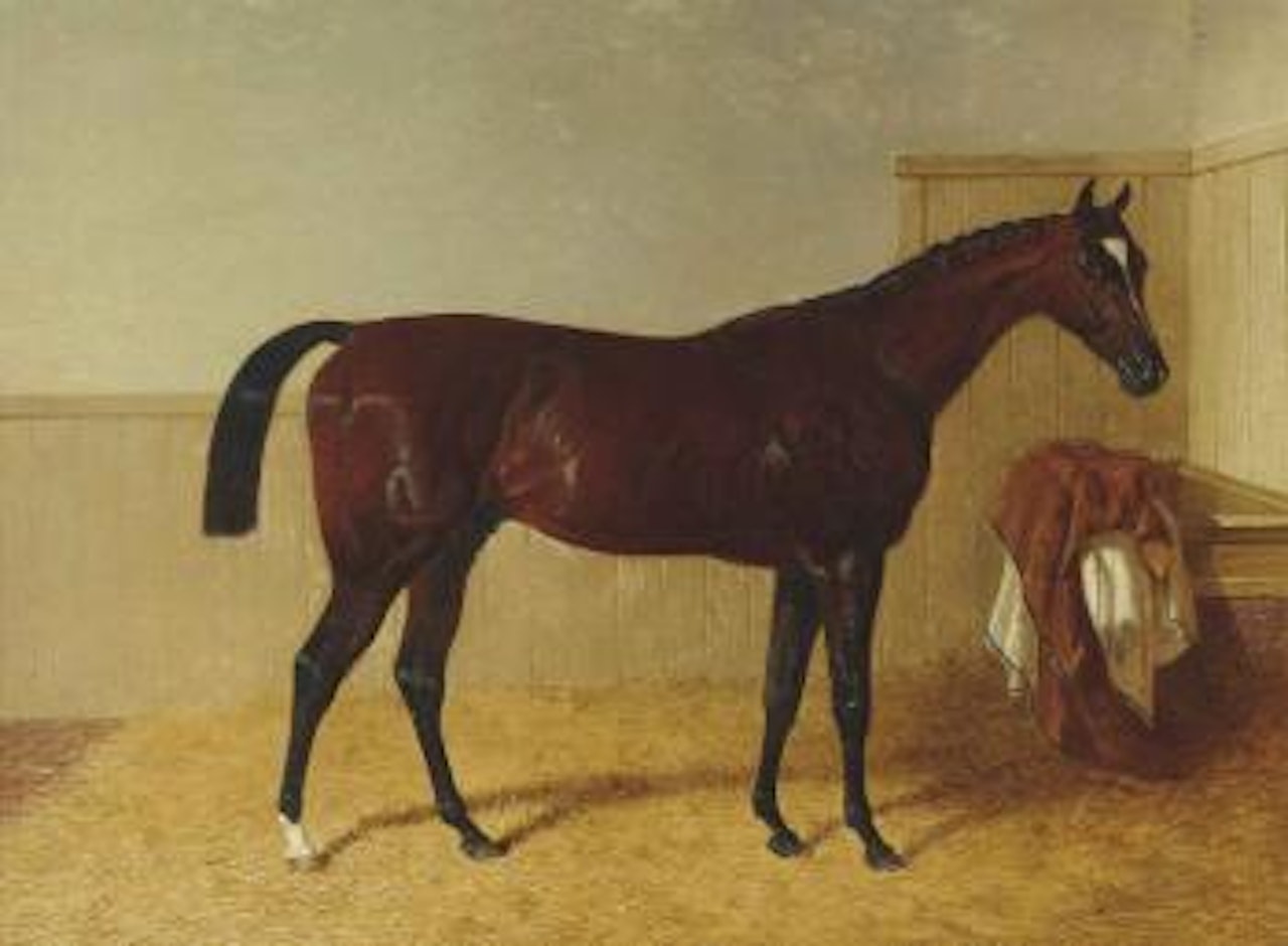 Touchstone, in a loose box by John Frederick Herring