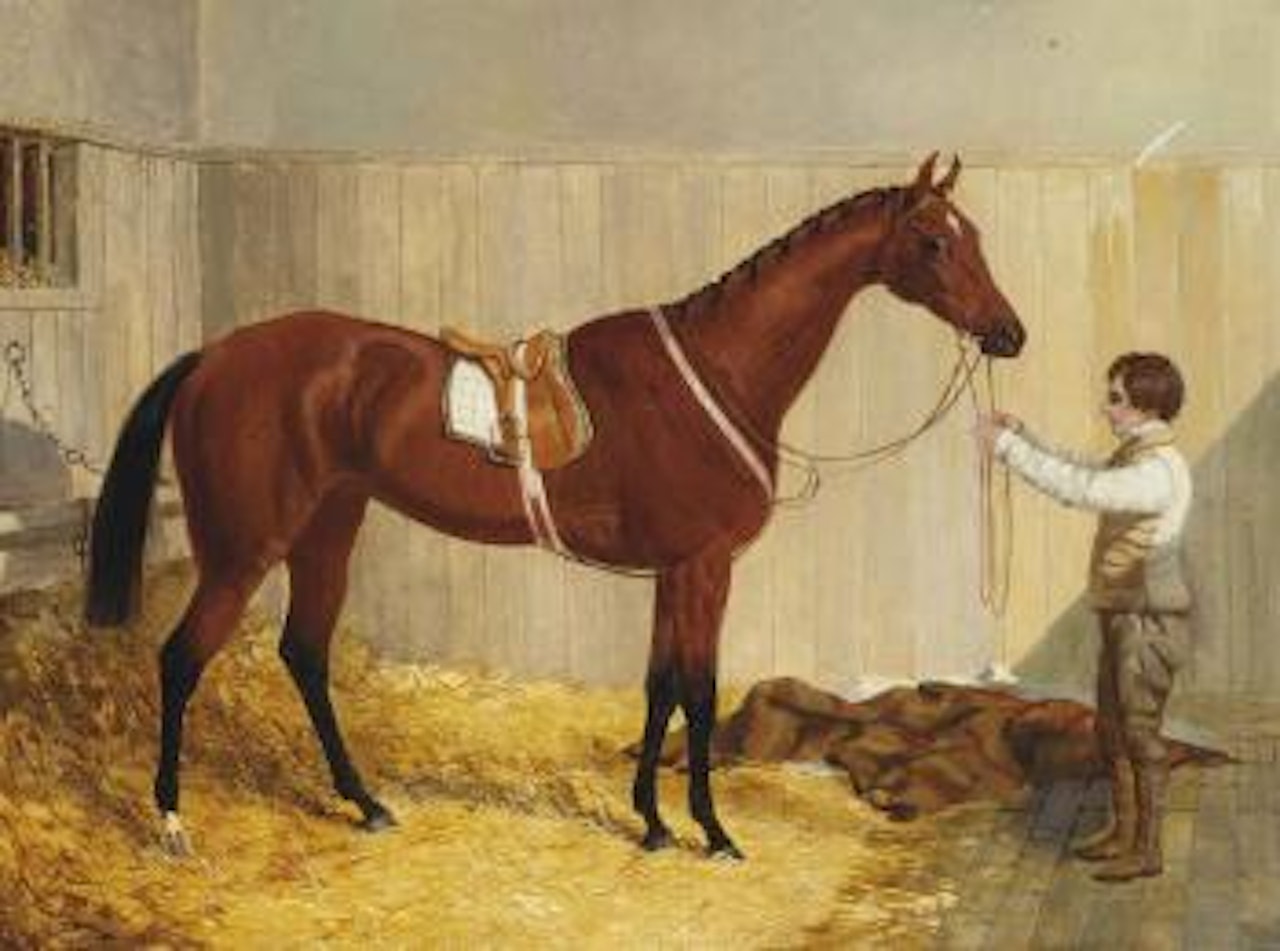 The bay racehorse Alice Hawthorn, held by a groom in her stable by John Frederick Herring