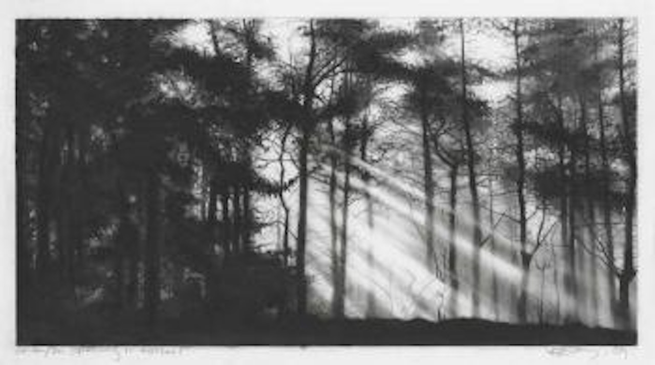 Study for Opening in the Forest by Robert Longo