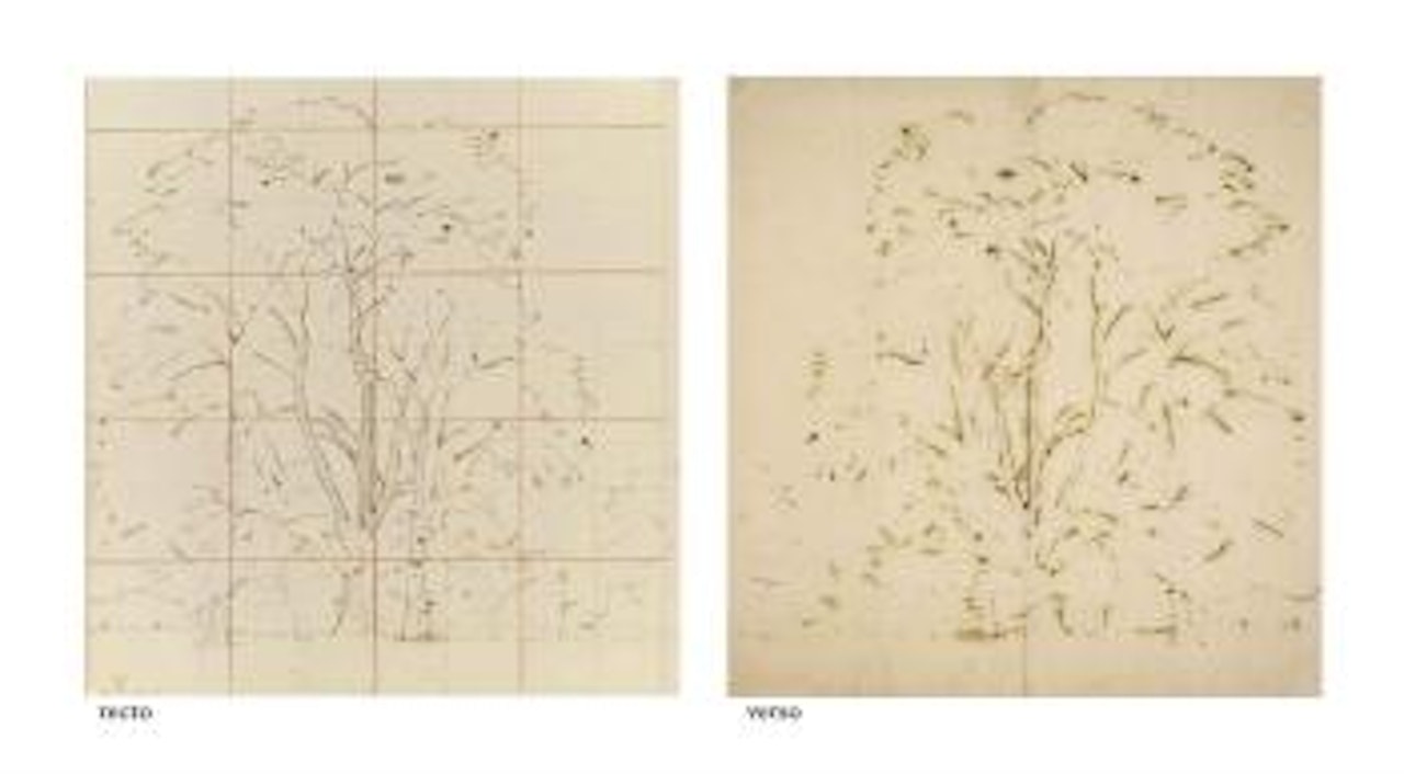 Study for 'Elm trees in Old Hall Park, East Bergholt' by John Constable