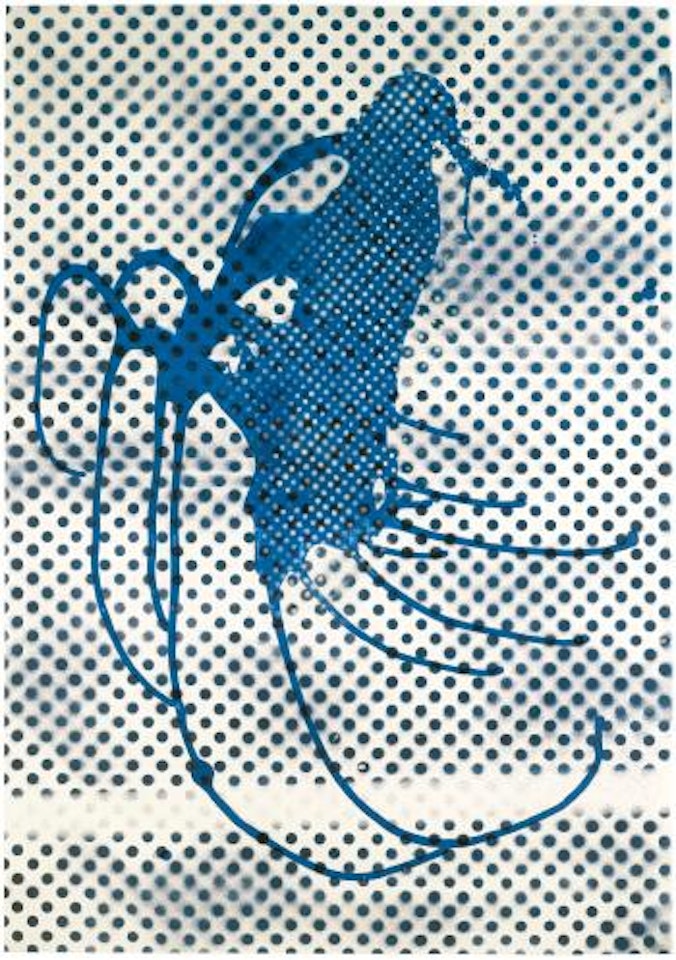 Untitled by Sigmar Polke