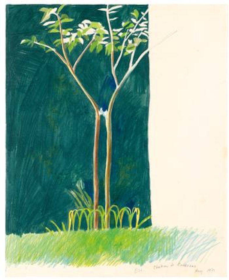 Chateau De Cavennac by David Hockney