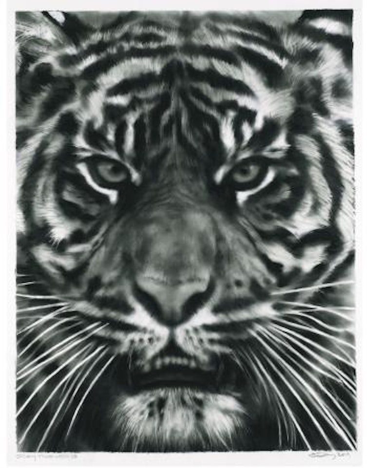 Study For Tiger Head 3B by Robert Longo
