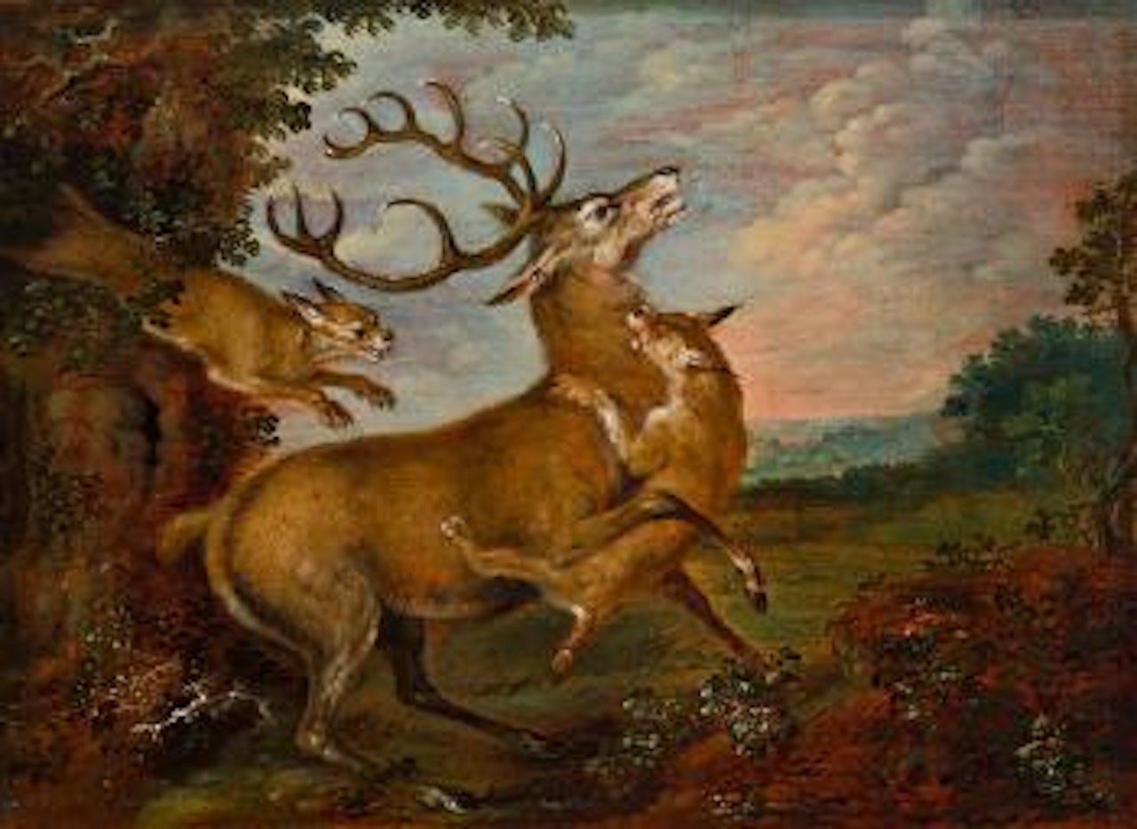 Hirsch von Luchsen angefallen by Jan Van Kessel The Elder