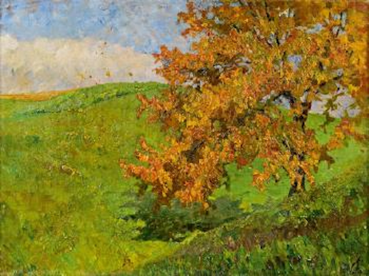 Baum in herbstlichem Licht. Birken im Frühling by Olga Wisinger-Florian
