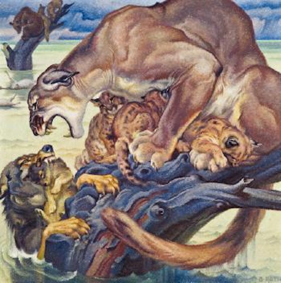Überschwemmung by Norbertine Bresslern-Roth