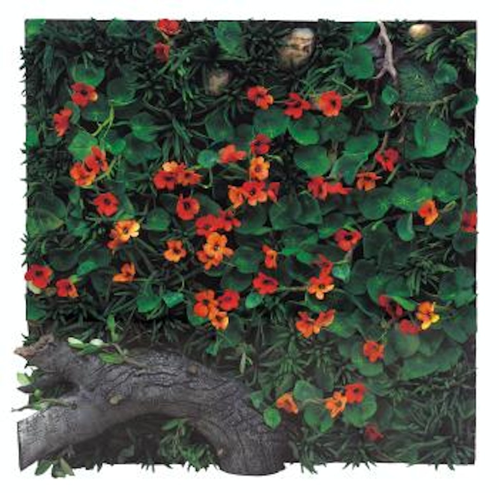 Fiori di nasturzia by Piero Gilardi
