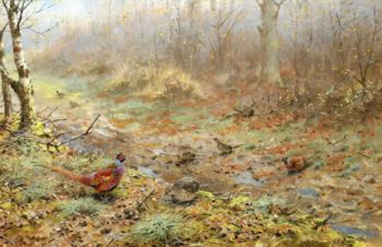Cock and hen pheasants in a woodland clearing by George Edward Lodge