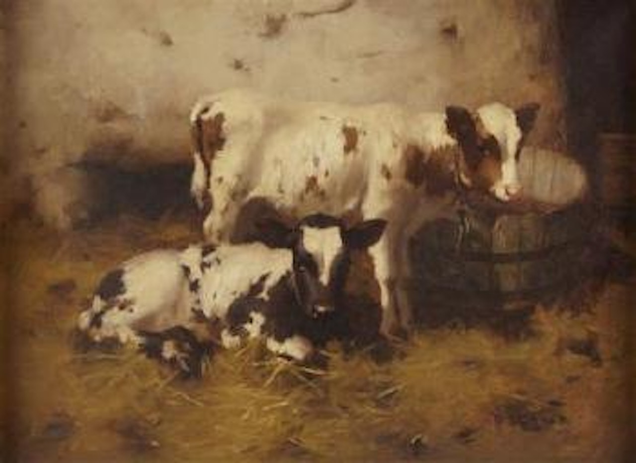 The twins by David Gauld