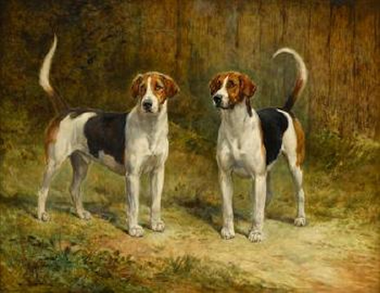 Fox hounds by Heywood Hardy