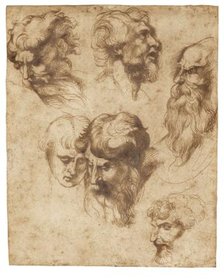 Studies Of Six Male Heads, After Raphael by Peter Paul Rubens