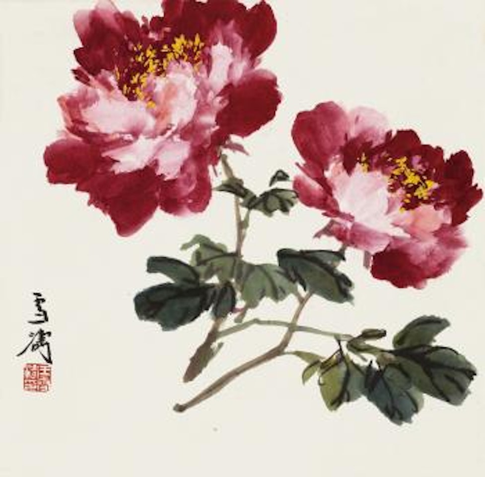 Peony by Wang Xuetao
