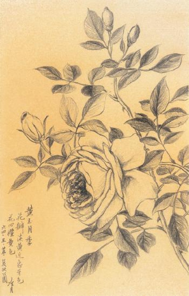 Topaz rose by Lengyue Tao