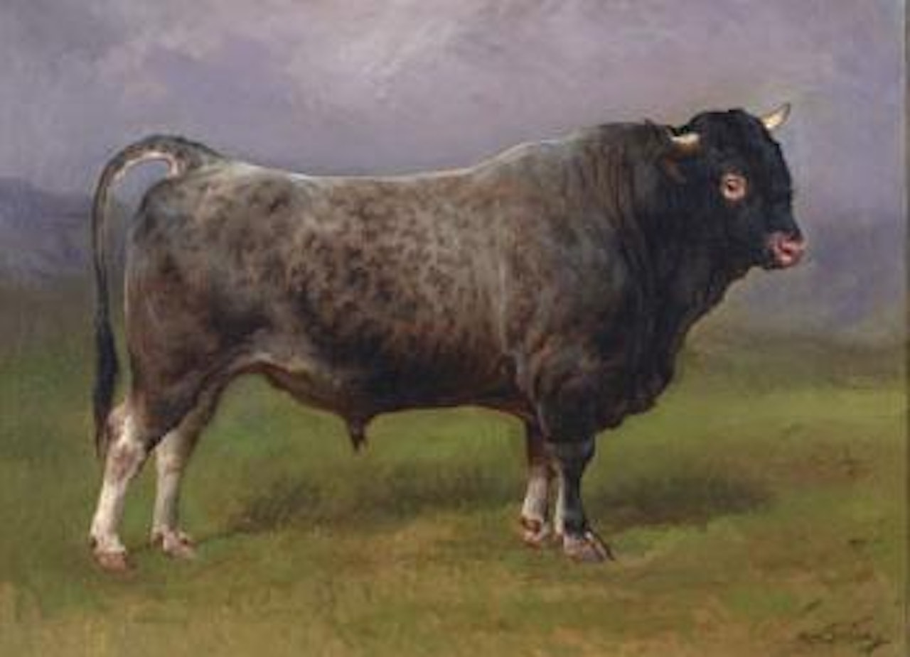 Portrait of a bull standing in a field by Rosa Bonheur