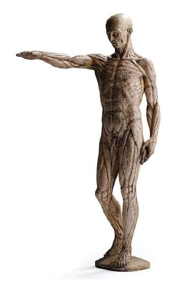 L'Écorché by Jean-Antoine Houdon