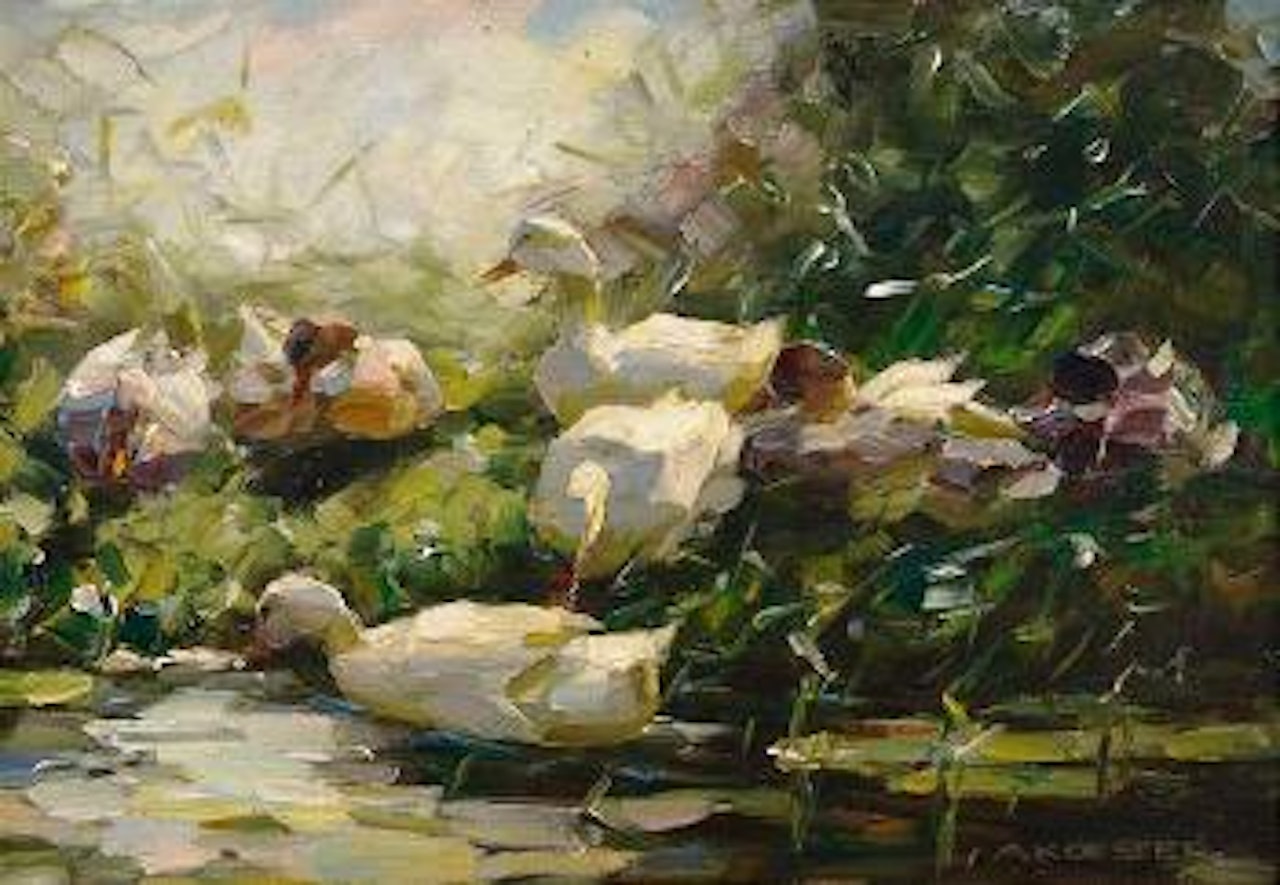 Enten im Schilf an einem Teichufer by Alexander Koester